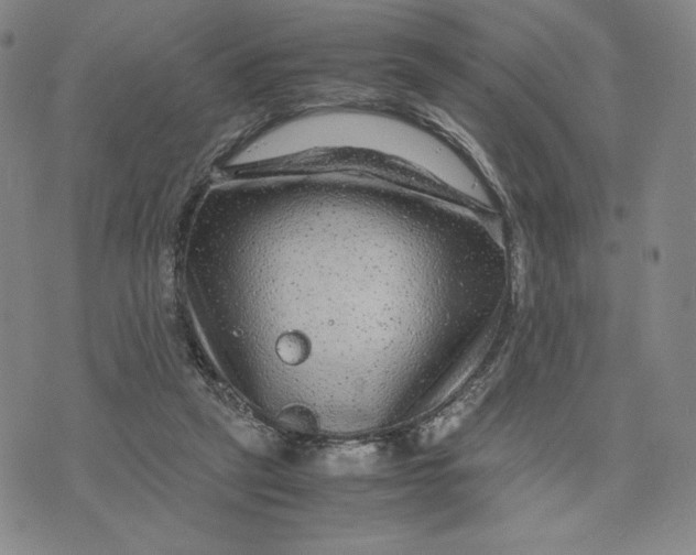 X0000071790257200607211629