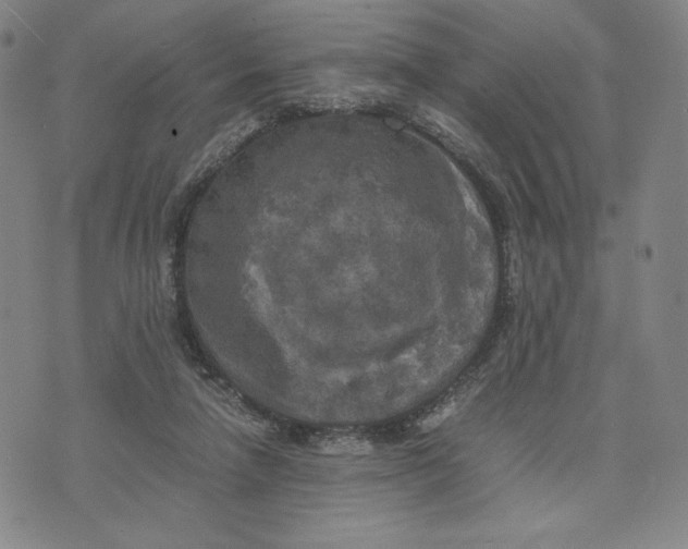 X0000071790258200607211629