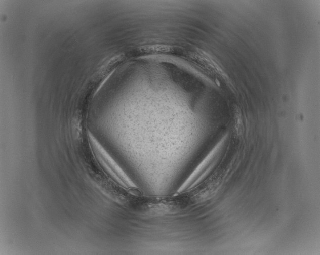 X0000071790259200607211629