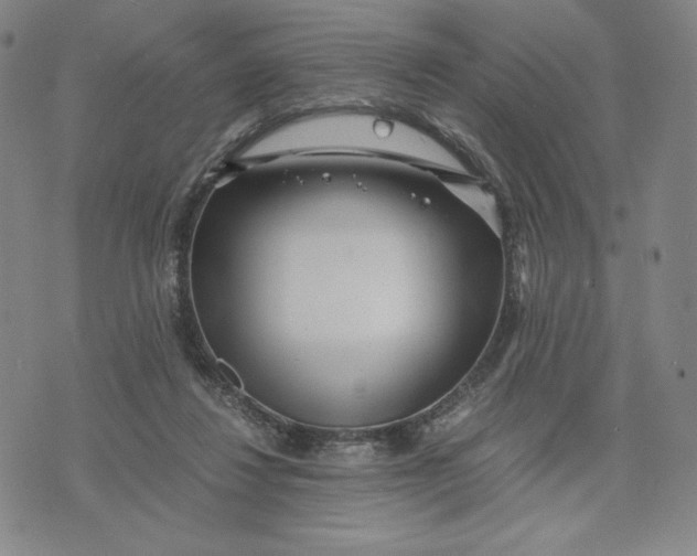 X0000071790260200607211629