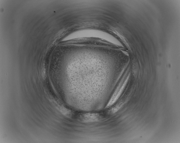 X0000071790261200607211629