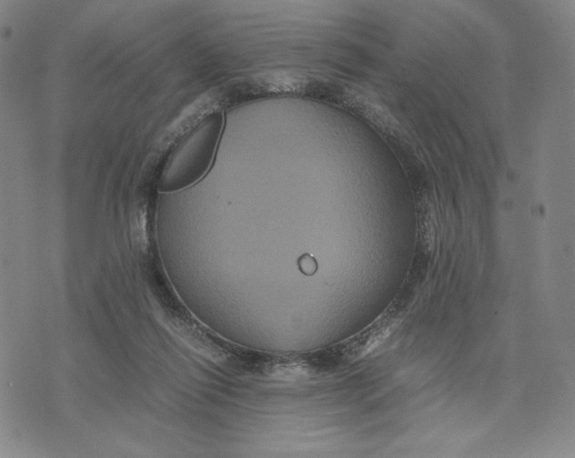 X0000071790262200607211629