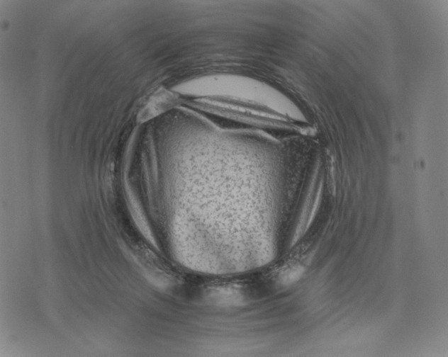 X0000071790263200607211629