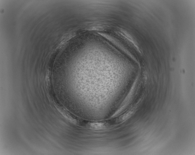 X0000071790265200607211629