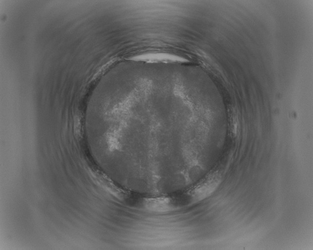 X0000071790266200607211629