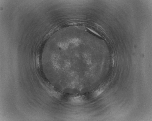 X0000071790267200607211629