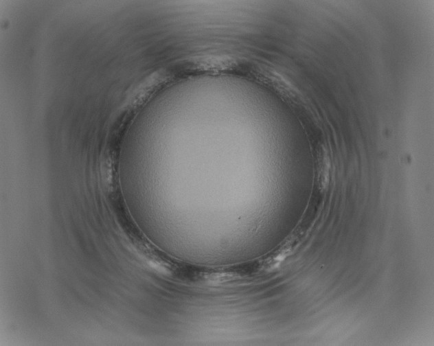 X0000071790268200607211629