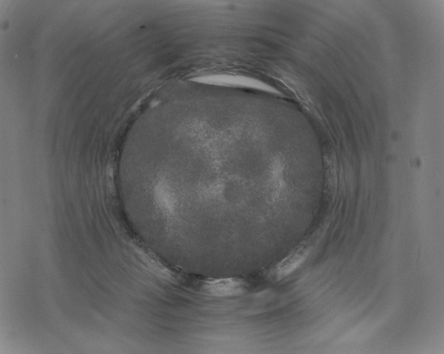 X0000071790269200607211629