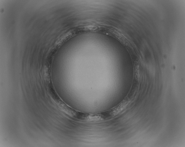 X0000071790270200607211629