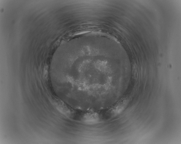 X0000071790271200607211629