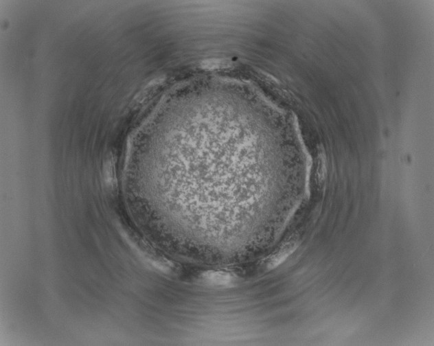 X0000071790272200607211629