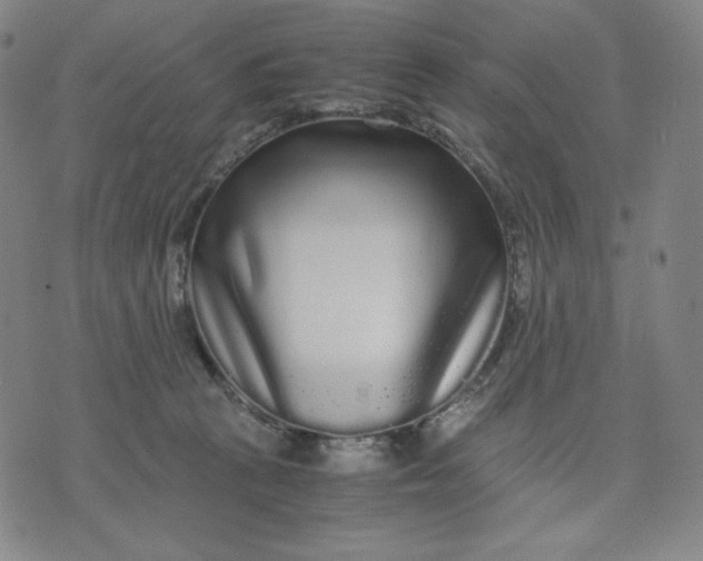 X0000071790273200607211629