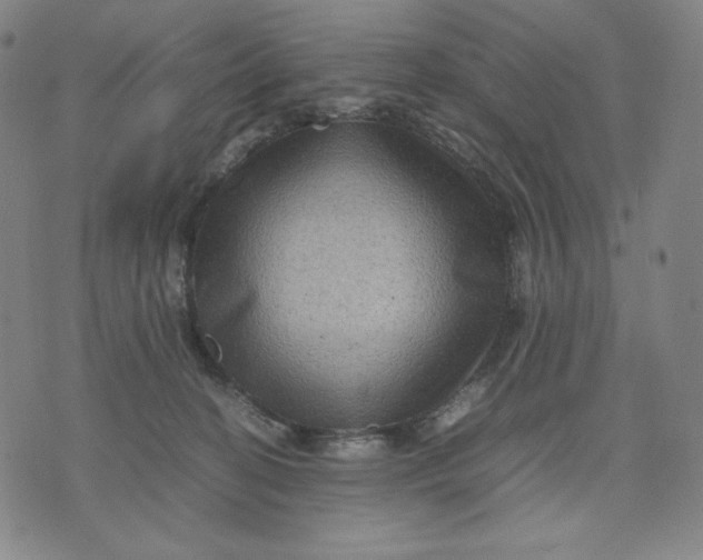 X0000071790274200607211629