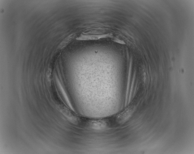 X0000071790275200607211629