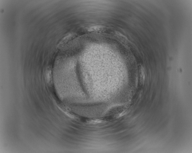 X0000071790276200607211629