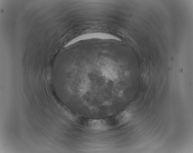 X0000071790277200607211629