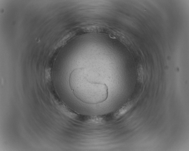 X0000071790278200607211629