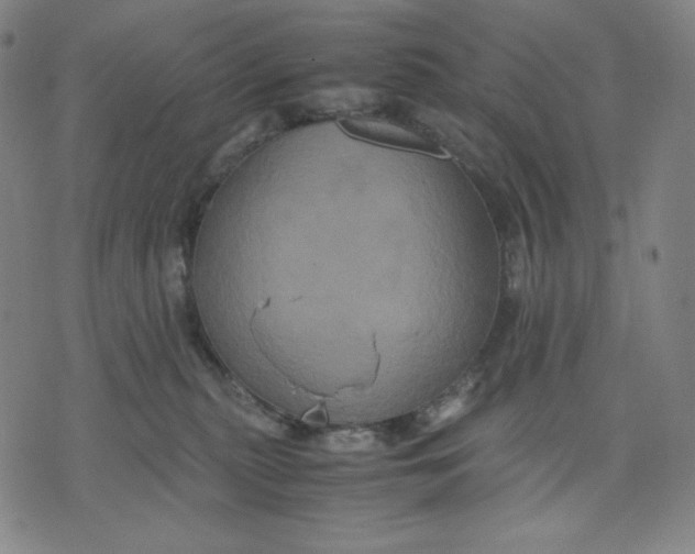 X0000071790279200607211629