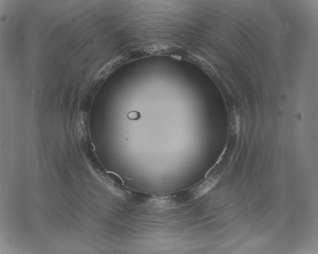 X0000071790280200607211629