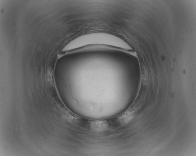 X0000071790281200607211629