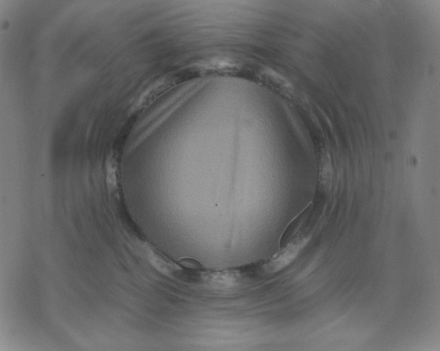 X0000071790282200607211630