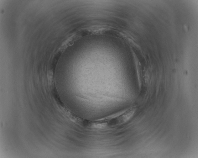 X0000071790283200607211630