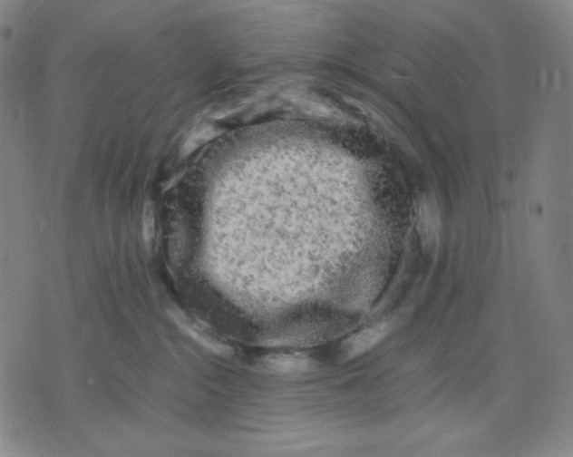 X0000071790284200607211630