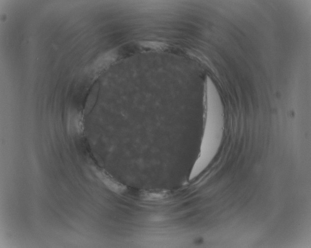 X0000071790285200607211630