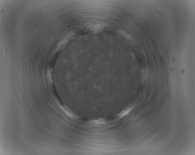 X0000071790286200607211630