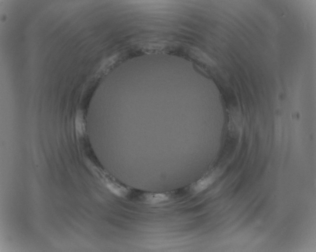 X0000071790287200607211630