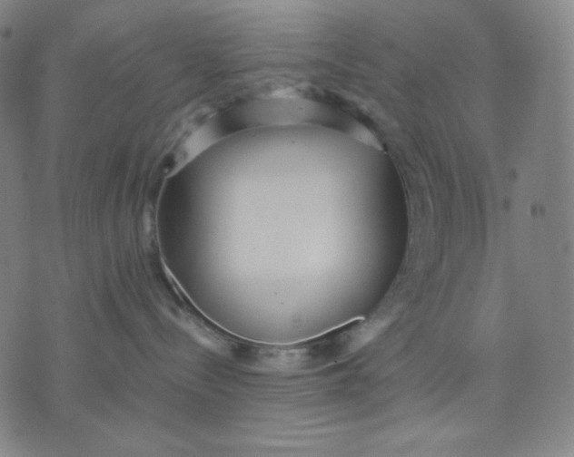 X0000071790288200607211630