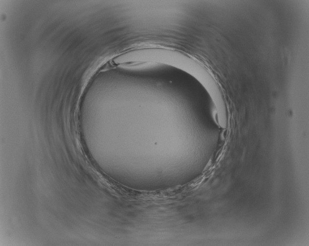 X0000071790289200607211629