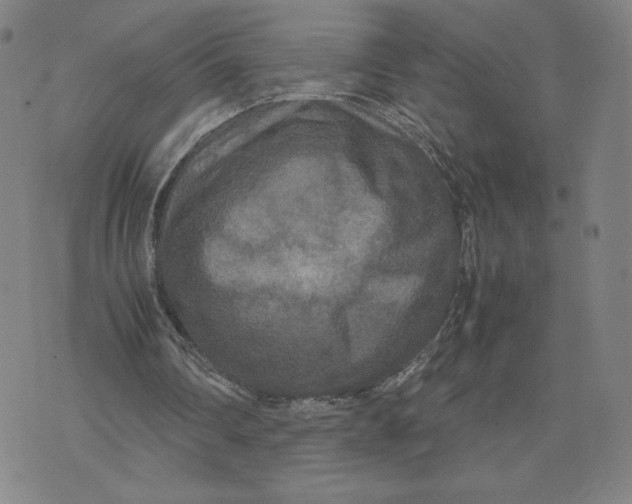 X0000071790290200607211629