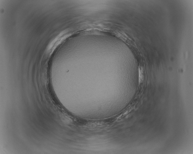 X0000071790291200607211629