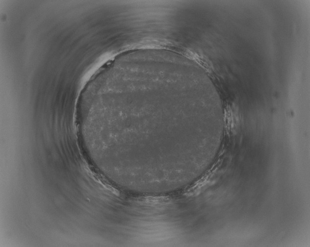 X0000071790292200607211629