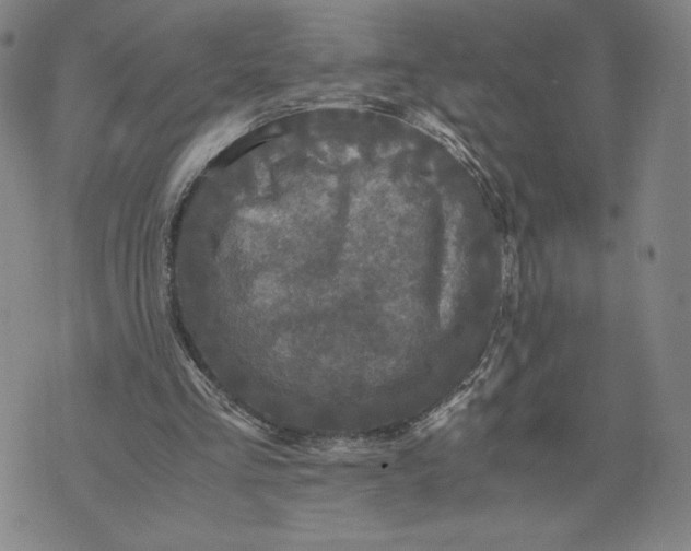 X0000071790293200607211629