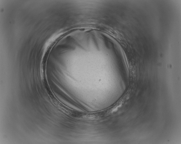 X0000071790294200607211629