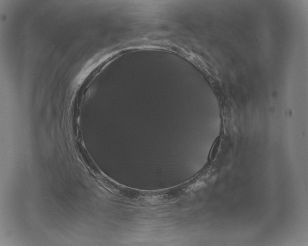 X0000071790295200607211629