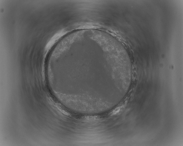 X0000071790296200607211629