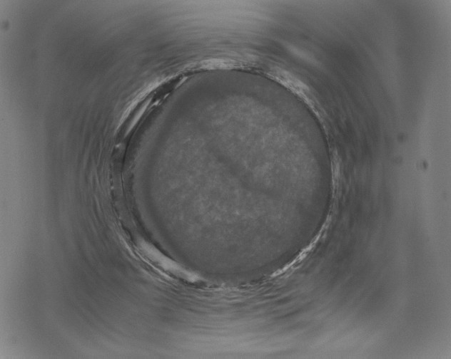 X0000071790297200607211629