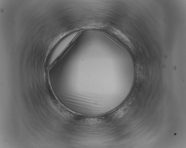 X0000071790298200607211629