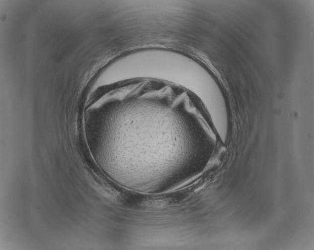 X0000071790299200607211629