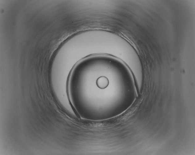 X0000071790301200607211629