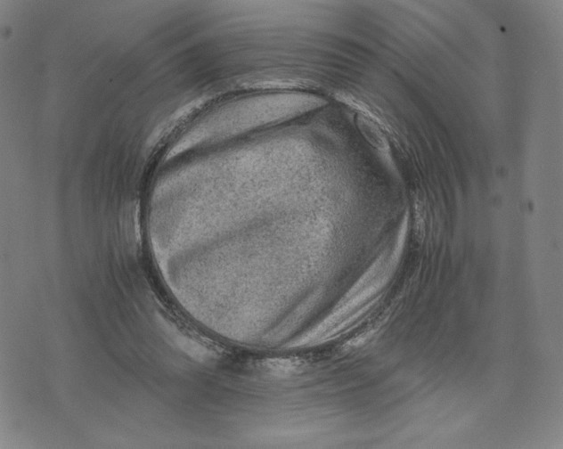 X0000071790302200607211629