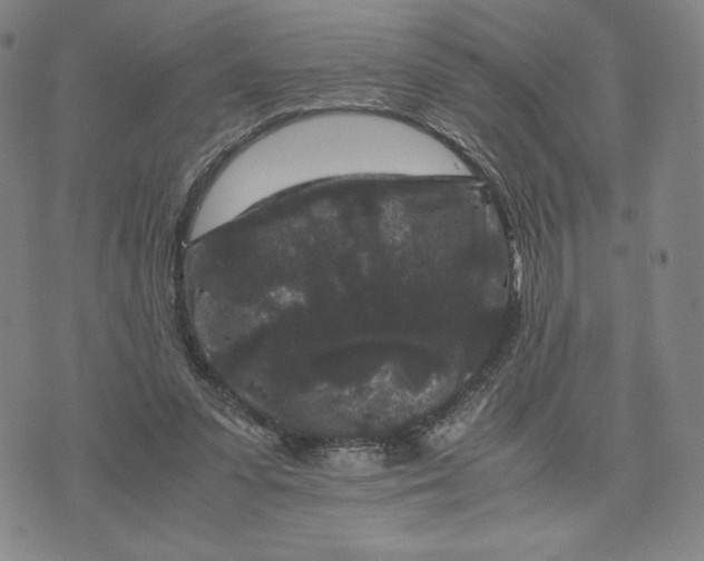 X0000071790303200607211629