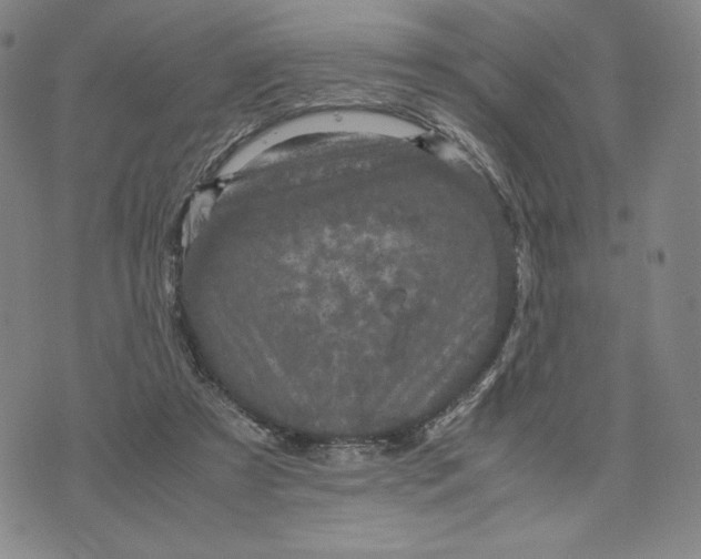 X0000071790305200607211629