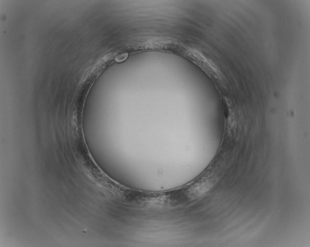 X0000071790306200607211629