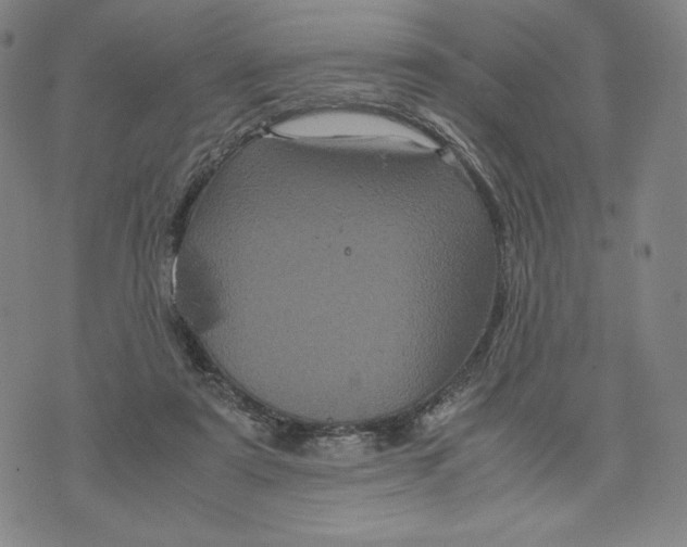 X0000071790307200607211629