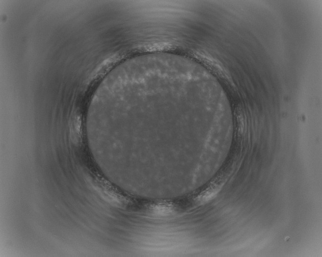 X0000071790308200607211629