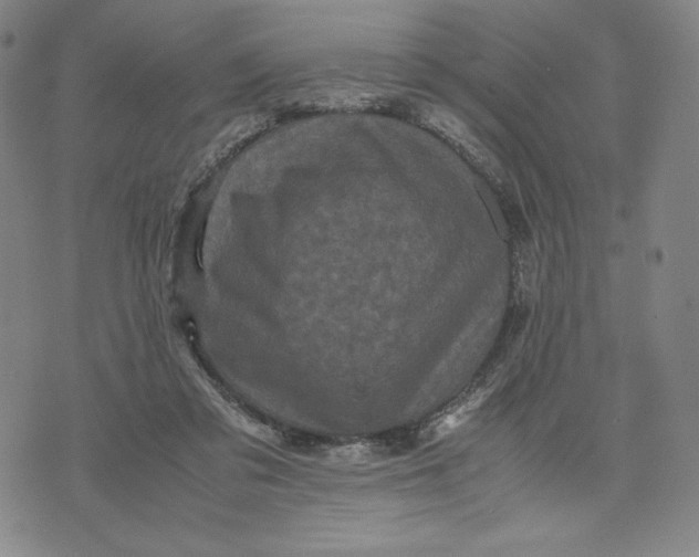 X0000071790309200607211629